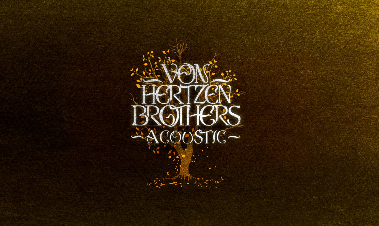 Von Hertzen Brothers Acoustic